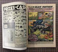 Jungle Action #9 The Black Panther Marvel Comic (1974) 7.5-8.5