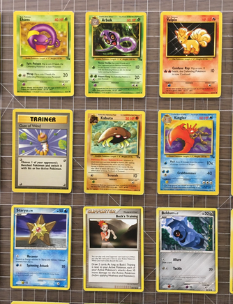 44509546