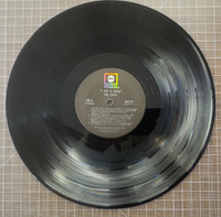 45458404