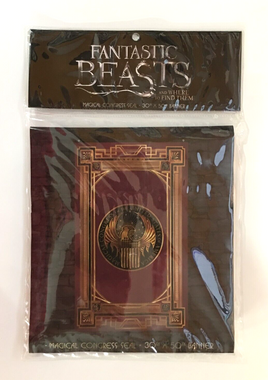 Harry Potter Fantastic Beasts and Where To Find Them Magical Congress Banner New