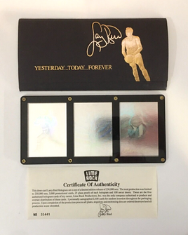 1992 Limited Edition Larry Bird Hologram 3 Card Set by Lime Rock With COA