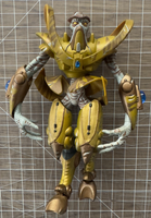 44833396