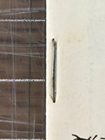 47506574