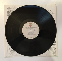 Robin Lane And The Chartbusters - Imitation Life - Vinyl LP Warner Bros (1981)